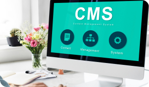 Understanding modern CMS platforms and their business impact