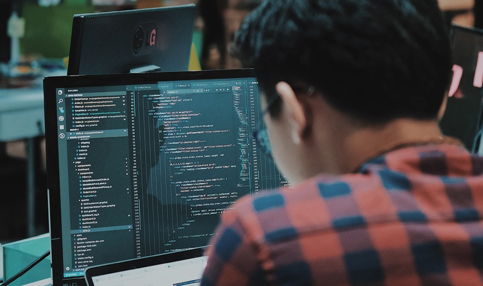 Development Service Image