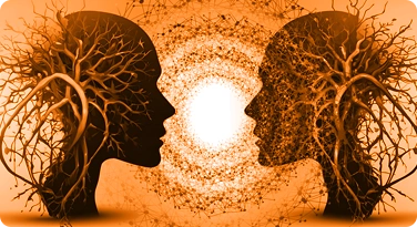 Computer Vision & Image Intelligence