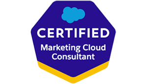 marketing-cloud-consultant