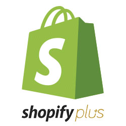 Shopify website development
