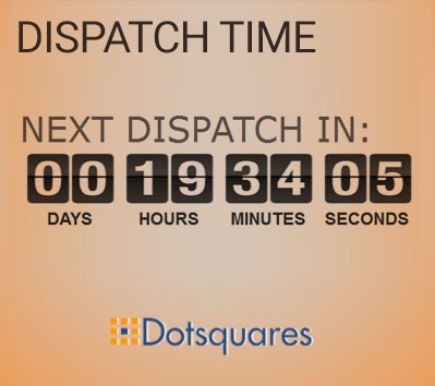 dispatch-timer-logo