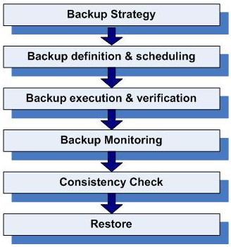 System Backup and Restore Process